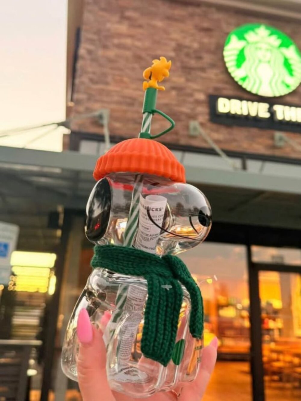 Starbuck Snoopy
